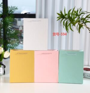 Dāvanu maisiņi 10-145M 18*23*8,5 cm