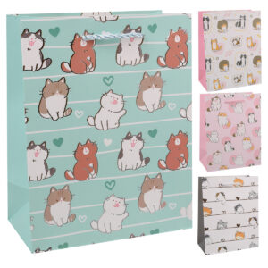 Dāvanu maisiņi 10-32L 26*32*10 cm