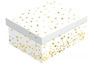 Dāvanu kastītes 10gab. komplekts DKH-10 H-2248-1