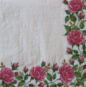 Salvetes DAISY 025501