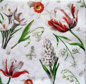 Salvetes DAISY 010101