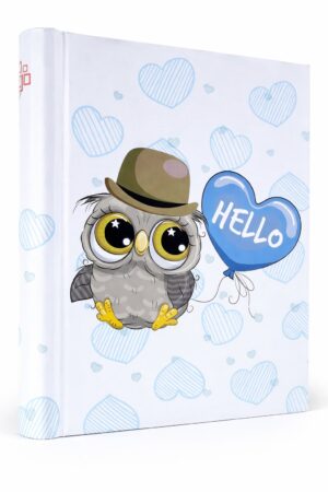 DRS 20 HELLO OWL BLUE